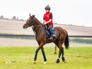 AK021025-32 - Believitanducan